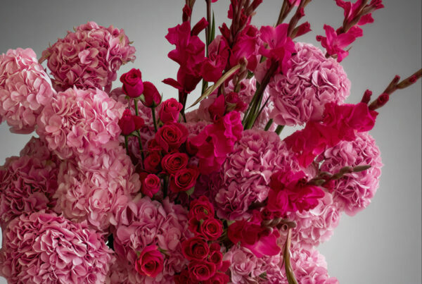 Flores